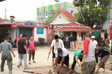 Kegiatan Qurban Di Yayasan Masmur 2019 7