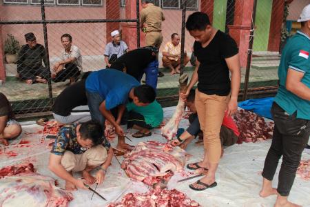 Kegiatan Qurban Di Yayasan Masmur 2019 2